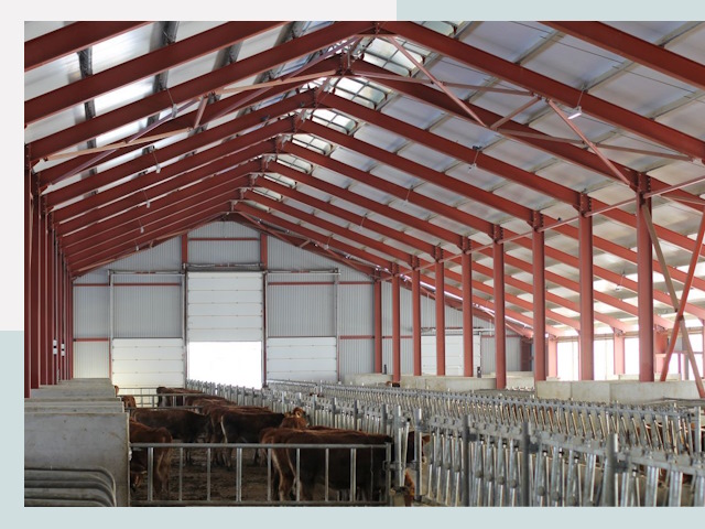 Строительство коровников в зиме