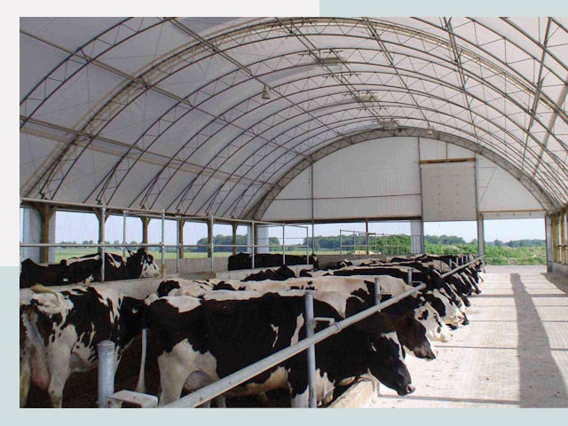 Тентовые коровники в зиме